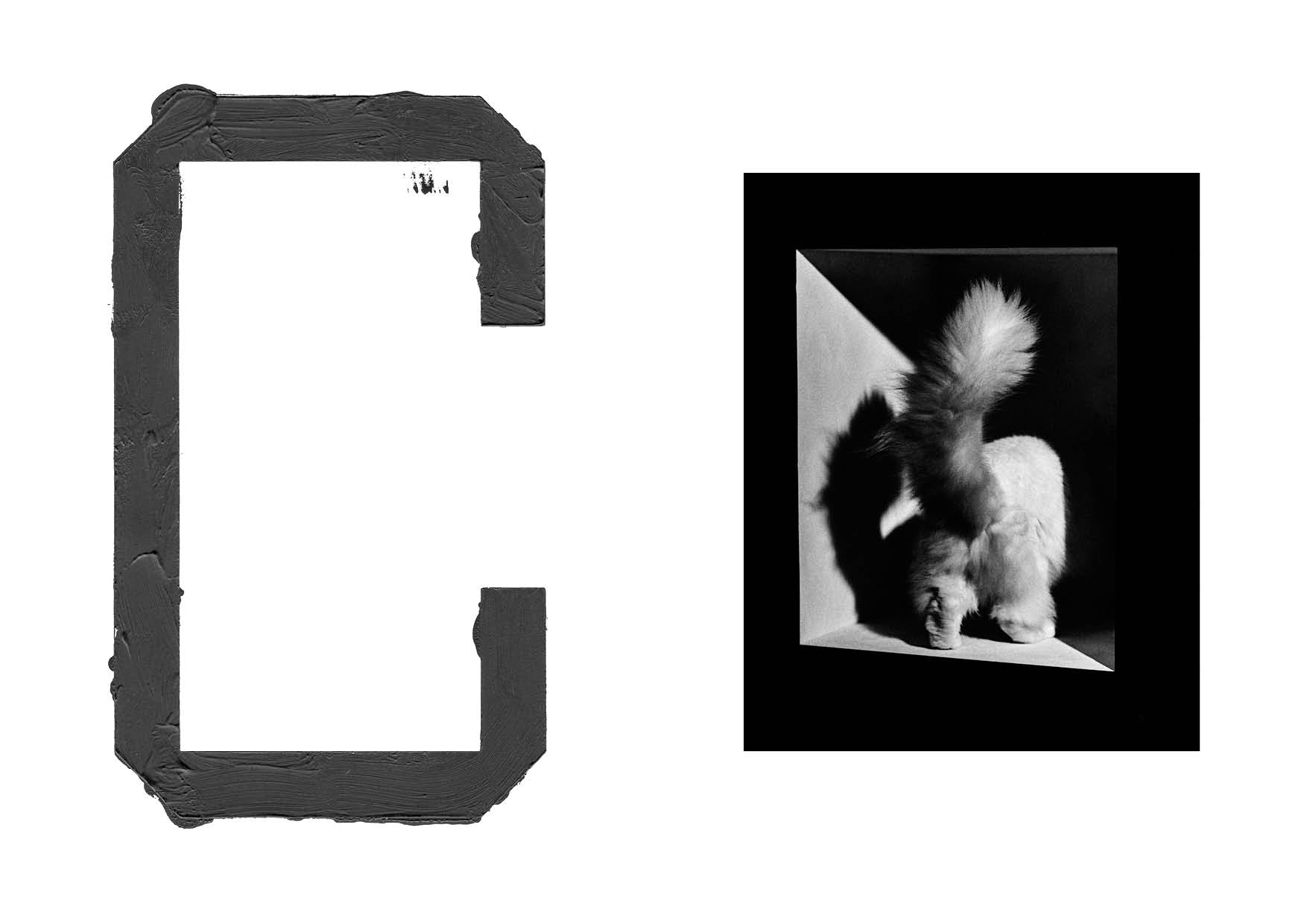 A is for Ant - Special Edition