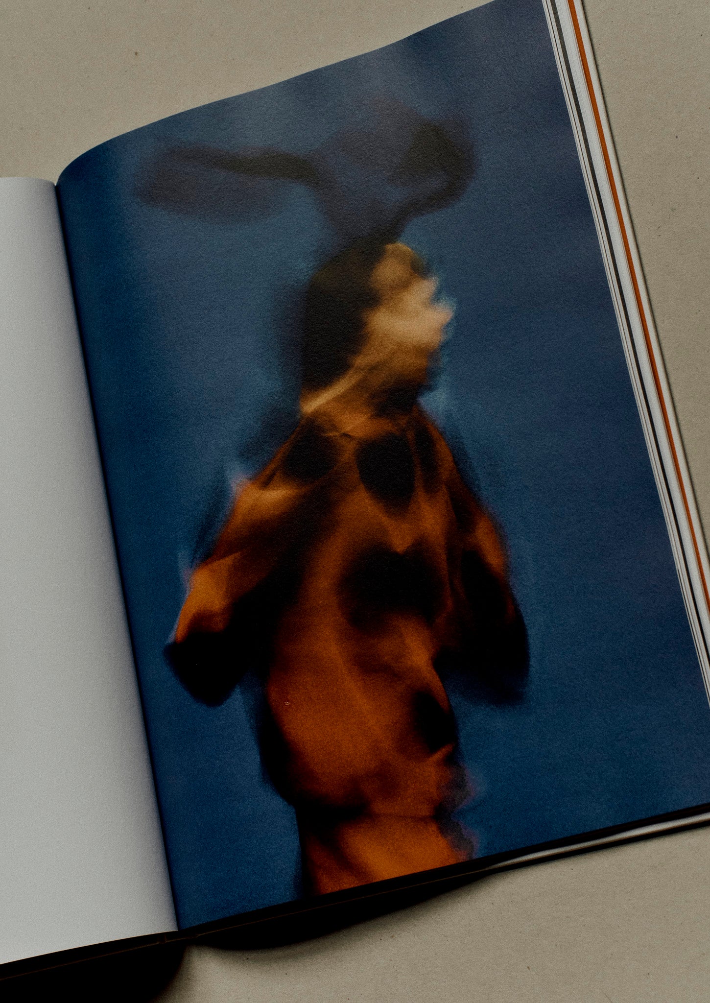 洋書 JACK DAVISON:A is for ant A is for Ant Book 1 | Jack Davison