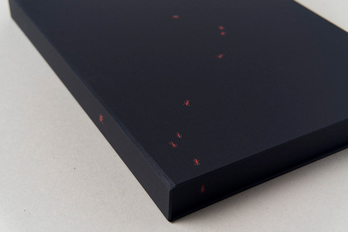 A is for Ant - Special Edition